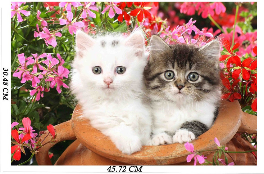 Cute Baby Cats Poster Poster For wall Decoration Poster For Room