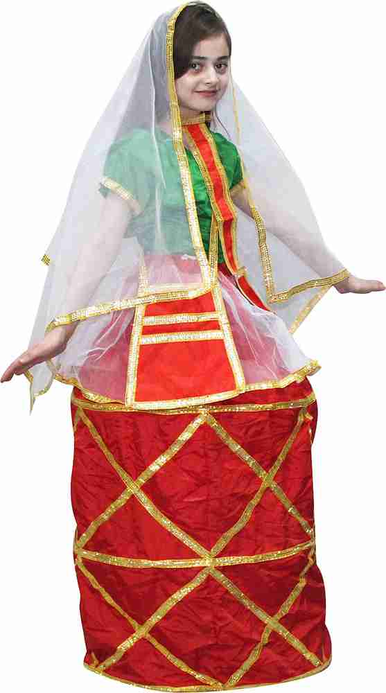 Traditional fancy dress for girl outlet