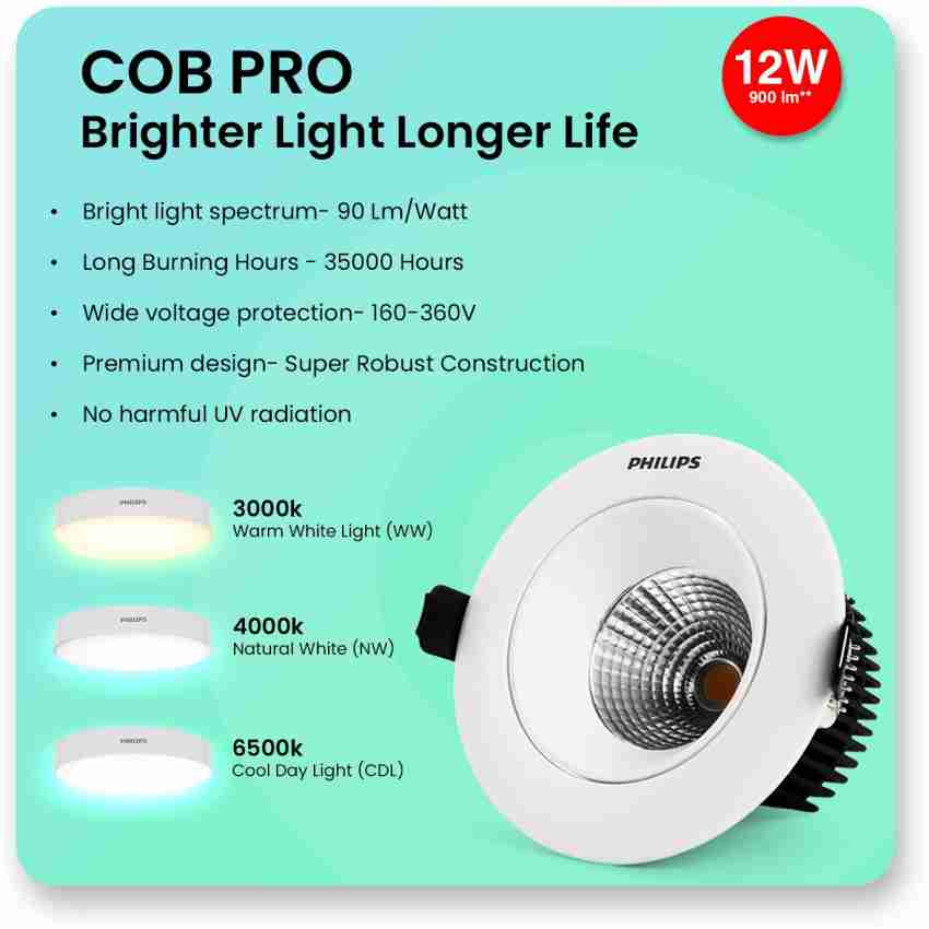 Philips LED COB Pro COB light