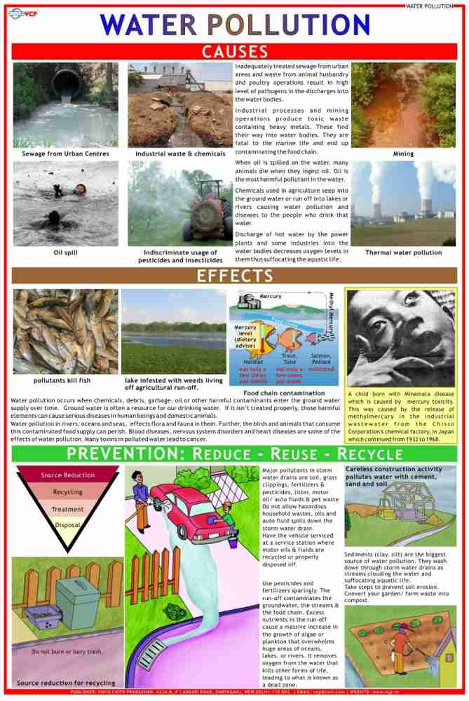 water pollution poster project
