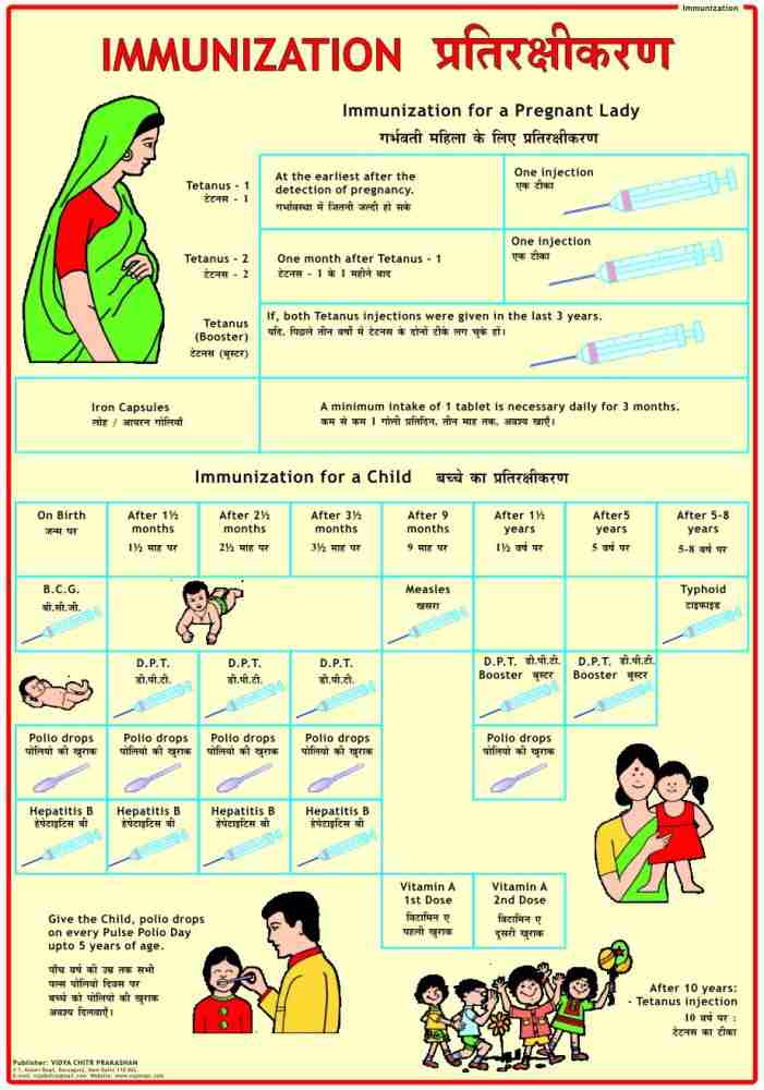 Immunization Chart Photographic Paper - Educational posters in India - Buy  art, film, design, movie, music, nature and educational  paintings/wallpapers at