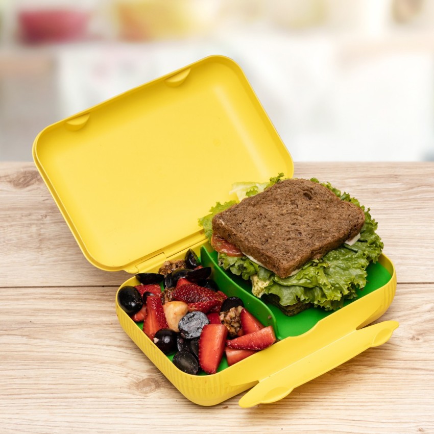 Buy Tupperware Sandwich Keeper 1 Containers Lunch Box(300 ml) on Flipkart