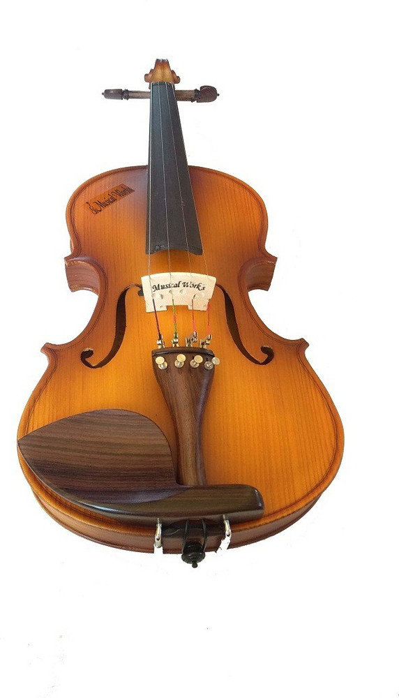Price of violin in flipkart top