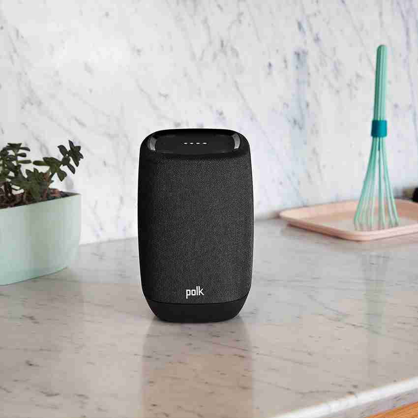 Polk assist discount review