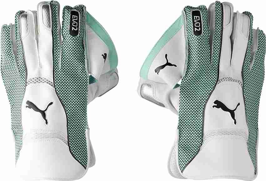 PUMA EVO 2 Wicket Keeper glove Wicket Keeping Gloves Buy PUMA EVO 2 Wicket Keeper glove Wicket Keeping Gloves Online at Best Prices in India Cricket Flipkart