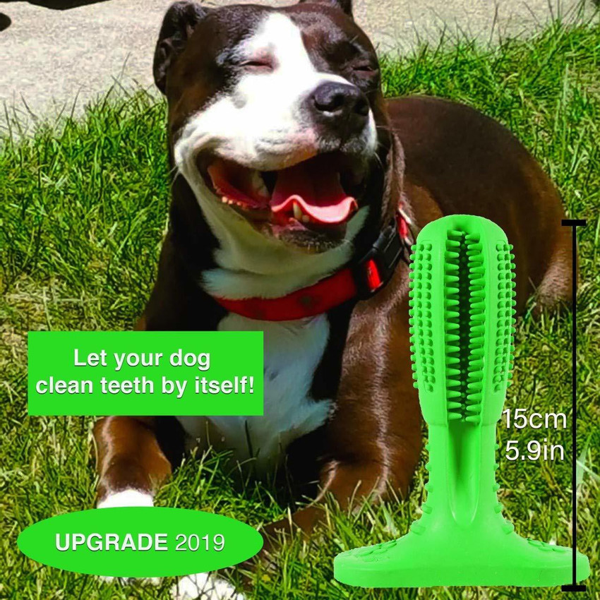 Gitesh Dog Toothbrush Stick Pet Toothbrush Pet Toothbrush Price in India Buy Gitesh Dog Toothbrush Stick Pet Toothbrush Pet Toothbrush online at Flipkart