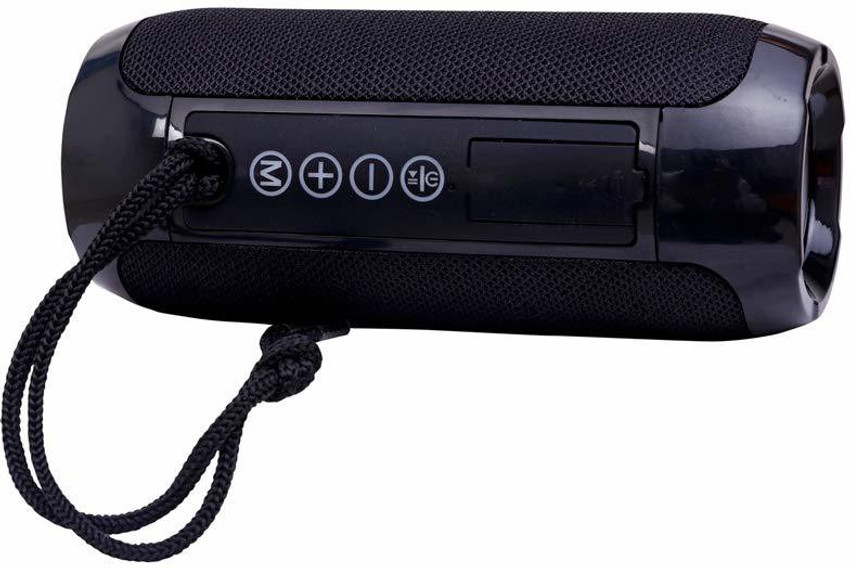 Portable bt hotsell speaker tg117