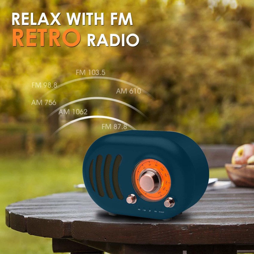 Relax Retro Radio and Speaker