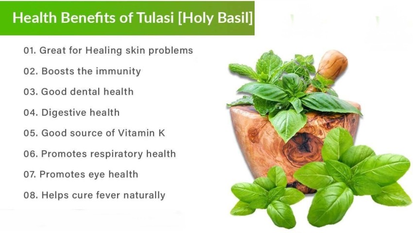 ORGANIC HERBS TULSI BASIL LEAVES POWDER 400 GM FOR STRONG