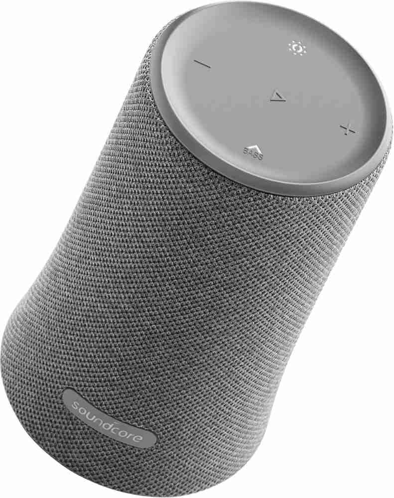 Flare plus speaker best sale