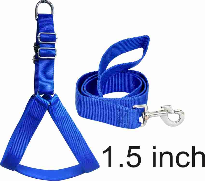 Pet belt discount