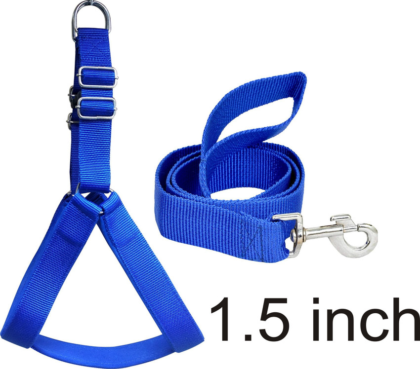 Dog body belt price 2025