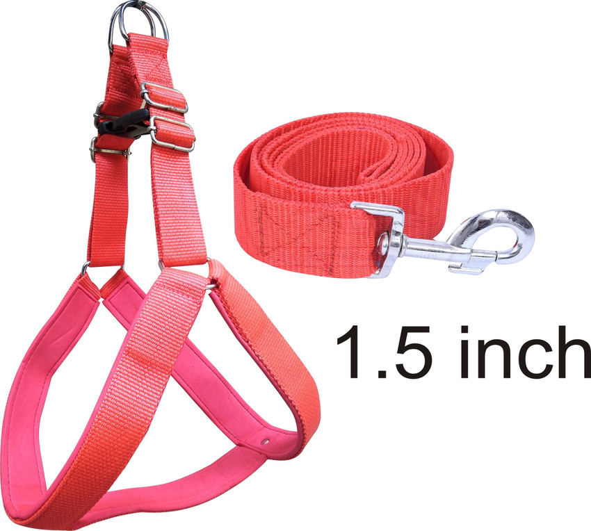 Dog kamar belt shop