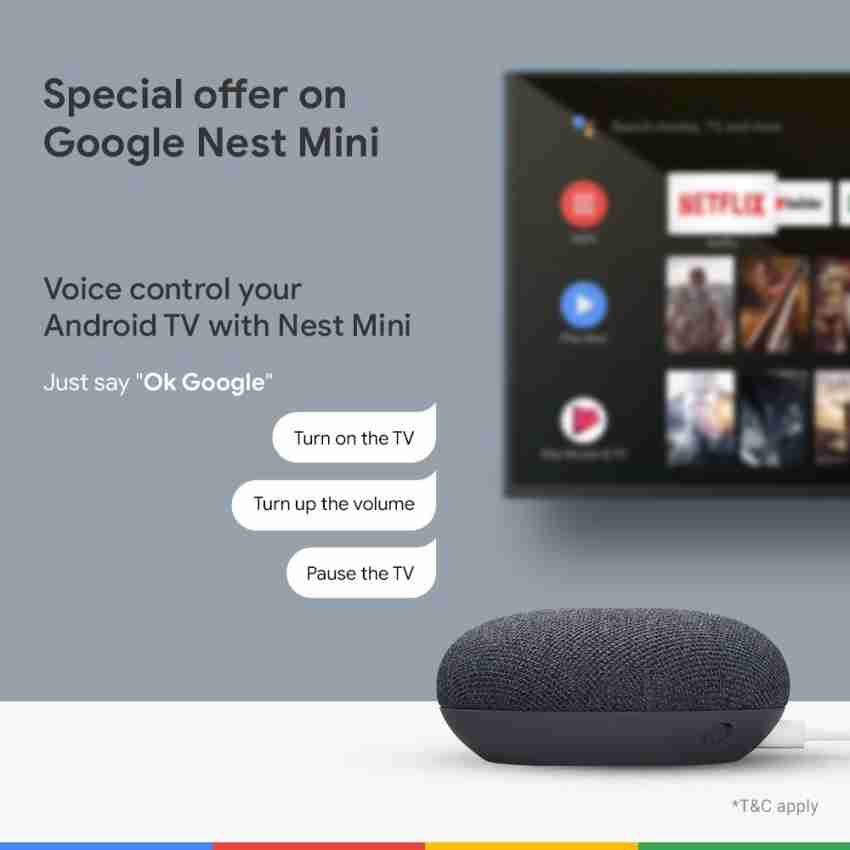 Google home mini store netflix android tv