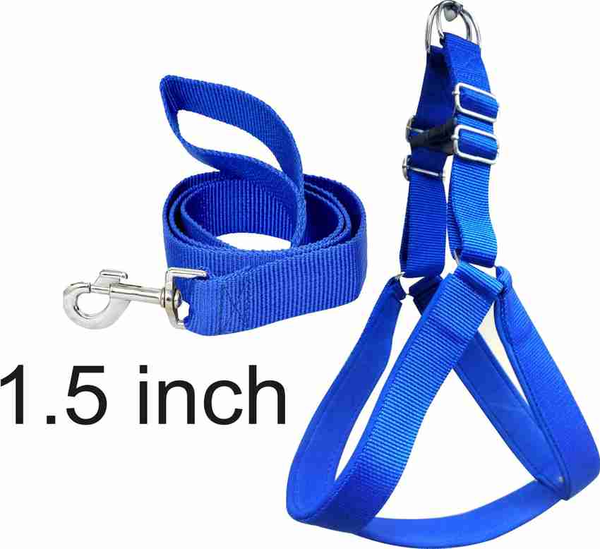 Dog belt price best sale