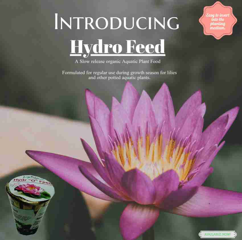 17+ Fertilizer For Lotus Plants