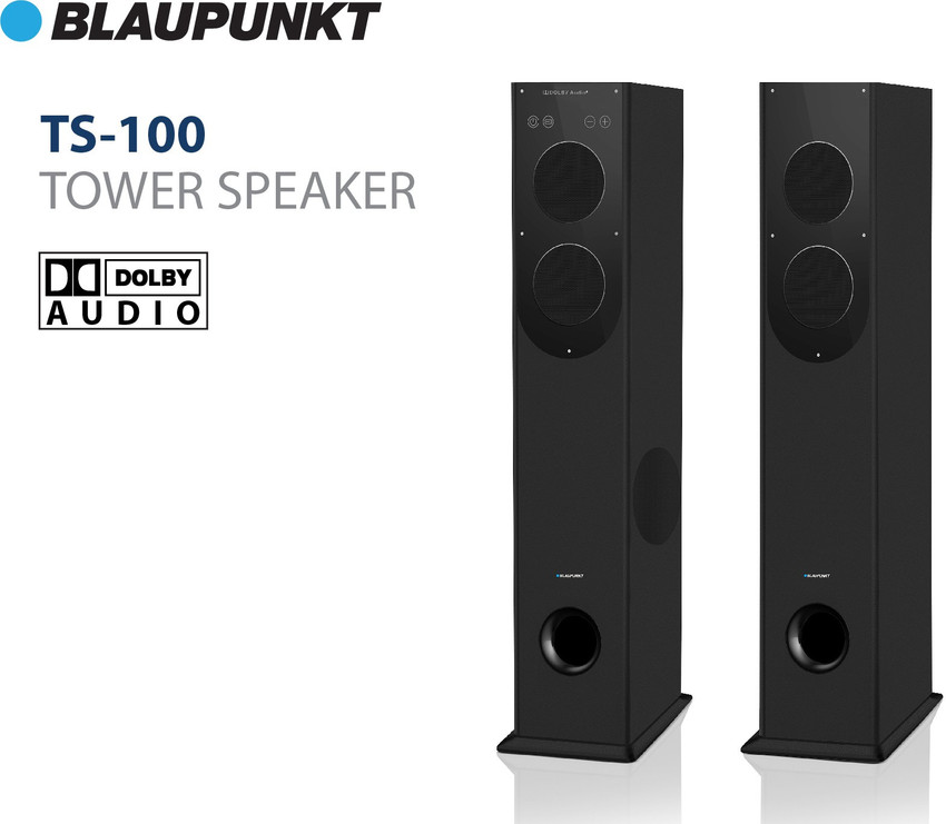 Blaupunkt ts100 sale