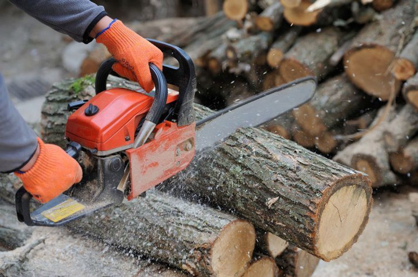 Sauran 62cc 22 Petrol Chainsaw With Warranty of 6 Months Wood Cutting Machine Heavy Duty High Quality Fuel Chainsaw Price in India Buy Sauran 62cc 22 Petrol Chainsaw With Warranty of