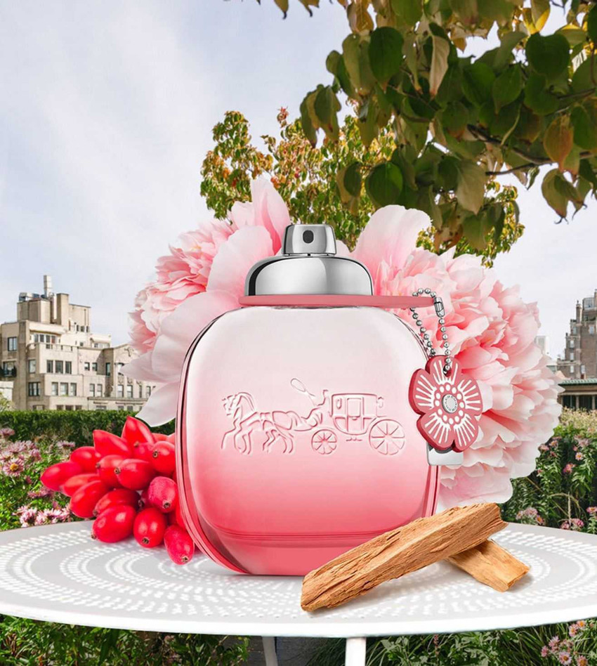 Coach eau de parfum 3 oz sales