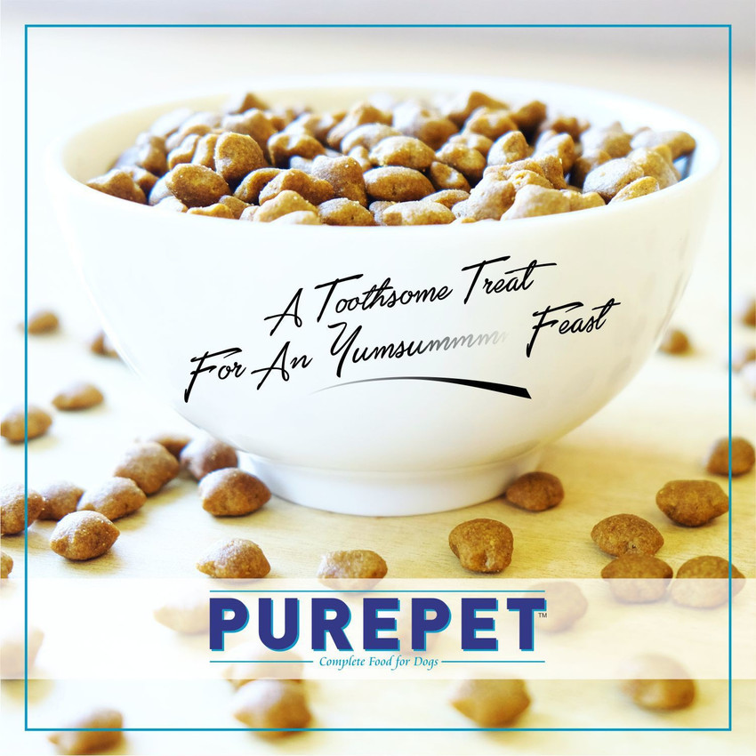 purepet Kitten Ocean Fish 1.2 kg Dry Young Cat Food Price in India Buy purepet Kitten Ocean Fish 1.2 kg Dry Young Cat Food online at Flipkart
