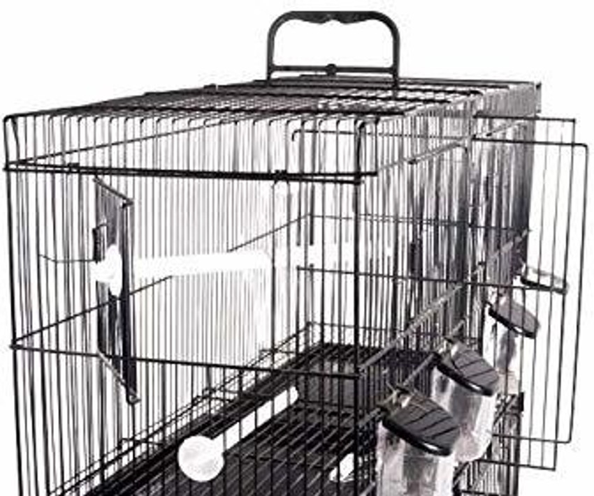 Fancy cages hot sale for birds
