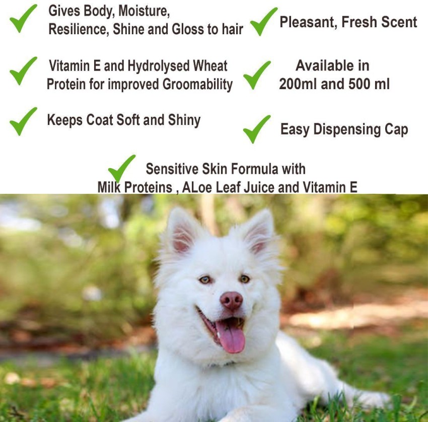 Best shampoo for outlet japanese spitz