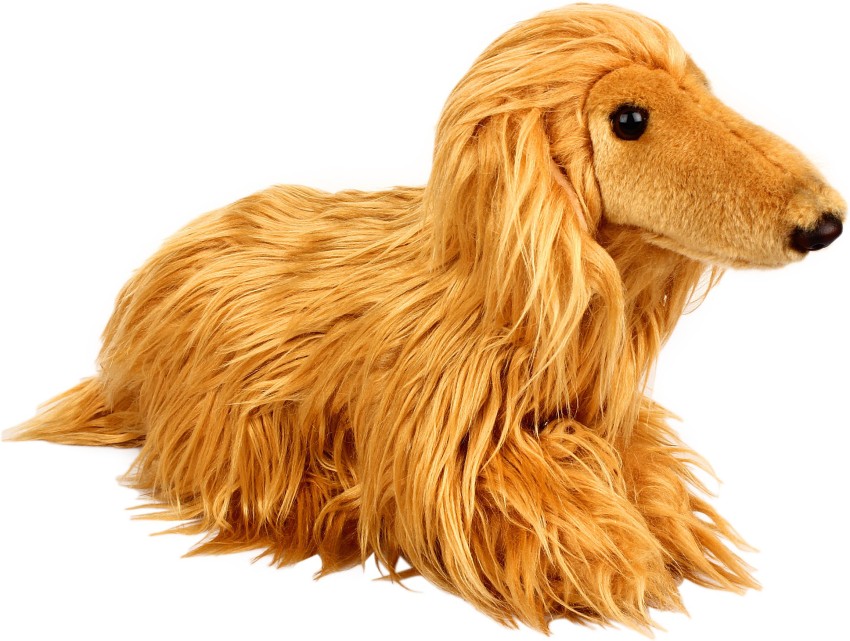 Hamleys Afghan Hound Soft Toy - 19 cm - Afghan Hound Soft Toy . Buy Hound  toys in India. shop for Hamleys products in India.