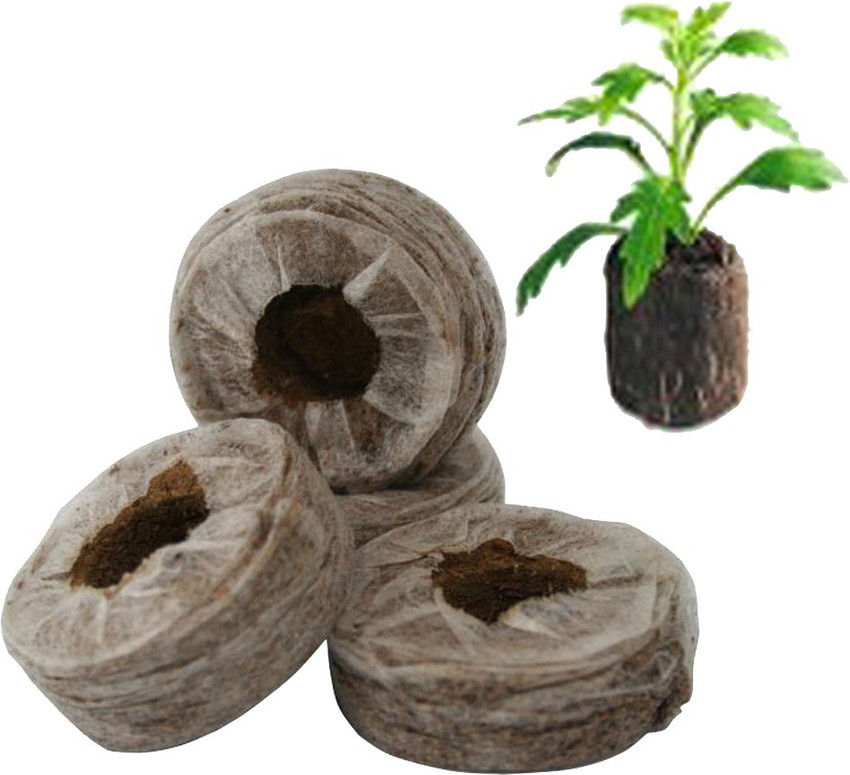 Share 73+ jiffy bag for plants esthdonghoadian