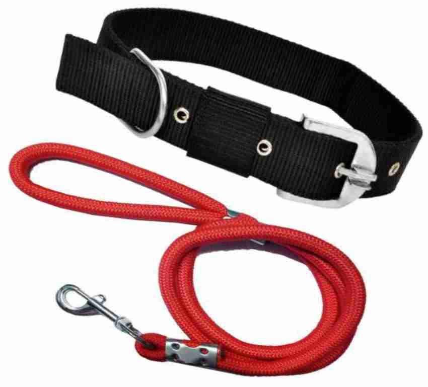 BODY BUILDING Nylon Dog Belt Combo of Black Dog Collar with Red