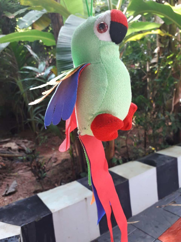 Baby toys for parrots 2025