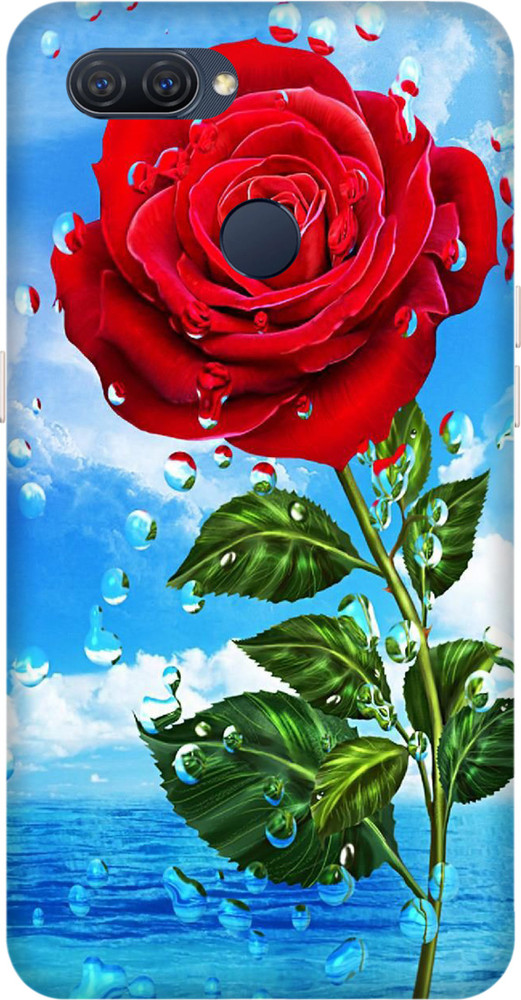 Love Roses Cover Photo