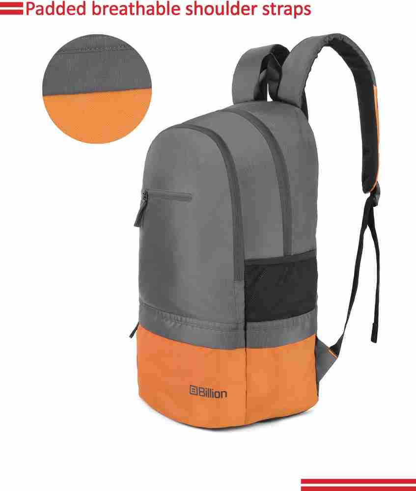 Billion bags flipkart 2025