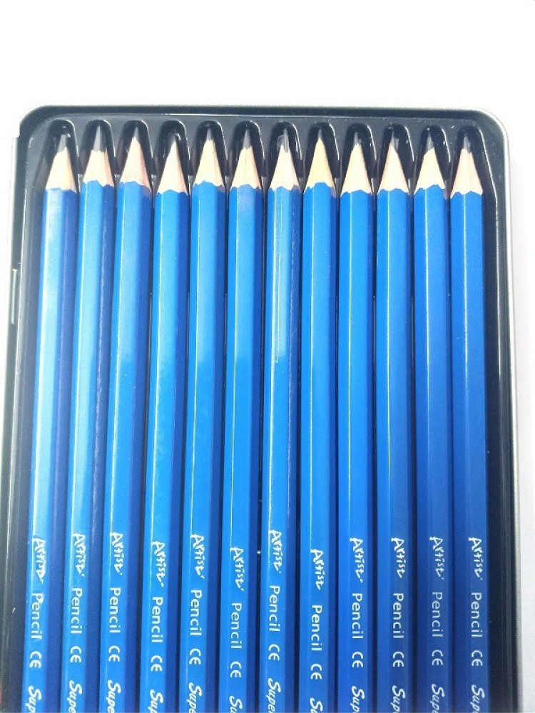 Levin Art Graphite Professional Drawing Sketching Pencil  Set- Artist Grade Degree Pencils 10B, 8B, 6B, 5B, 4B, 3B, 2B, B, HB, 2H, 4H  and 6H (Pack of 12), Art Blending