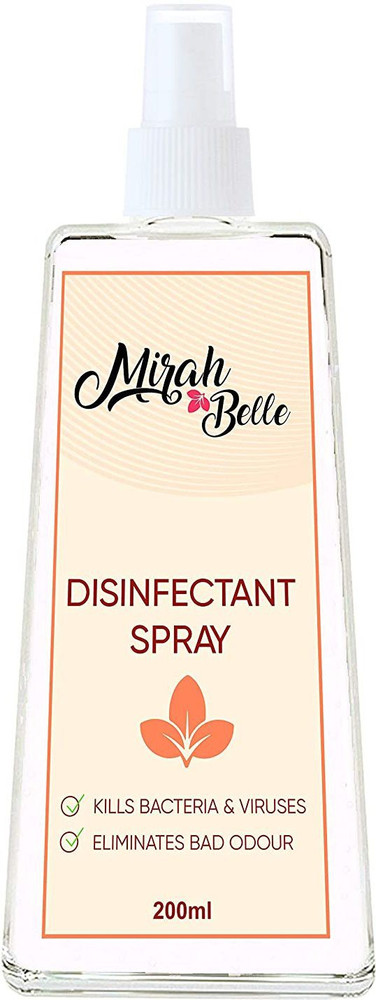 Best disinfectant outlet spray for home