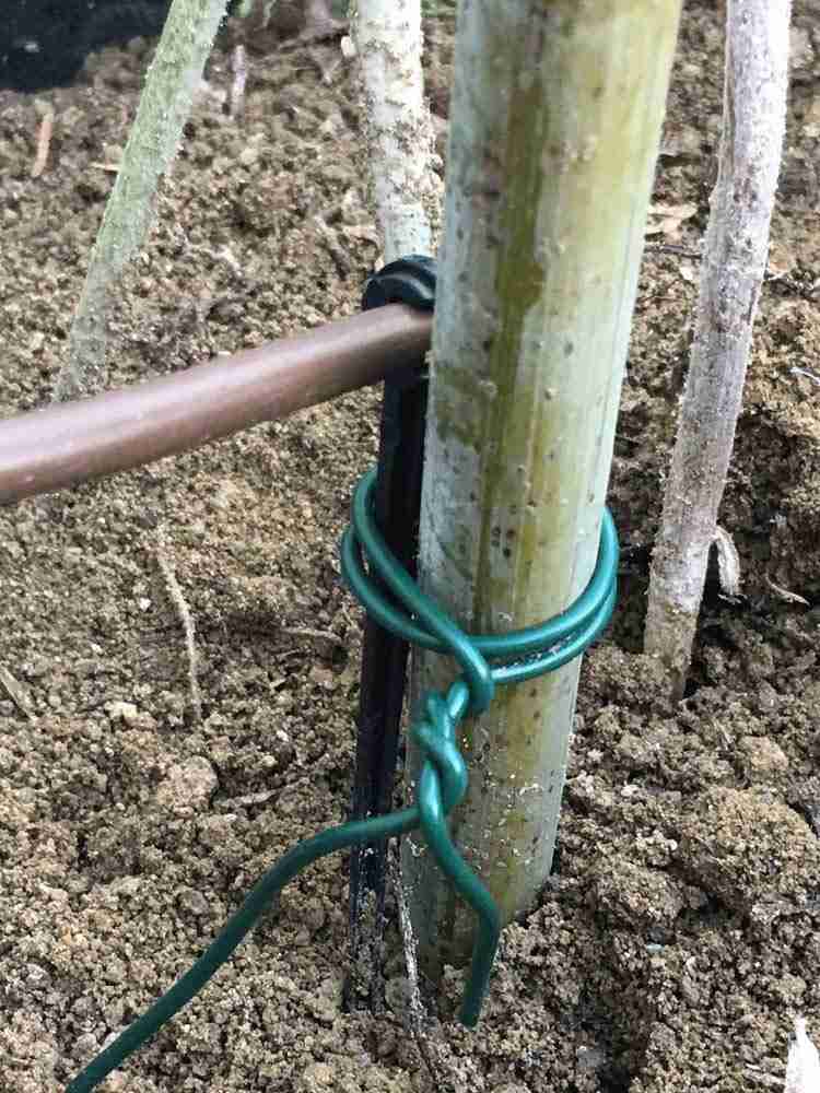15M Garden Wire Heavy Duty Green Coated Plant Twist Tie Garden