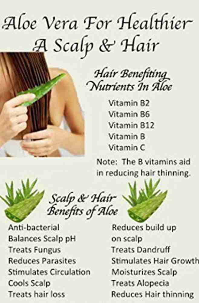 Abhasam herbs aloe vera gel pure organic premium quality for face hair and skin 500g Price in India Buy Abhasam herbs aloe vera gel pure organic premium quality for