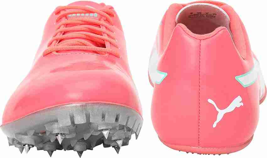 Puma hotsell evospeed pink