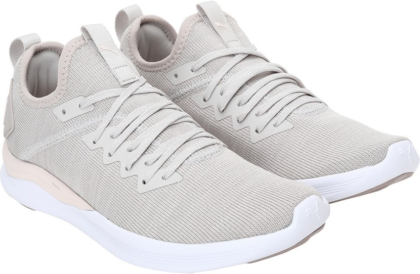 Puma ignite hot sale evoknit flash silver