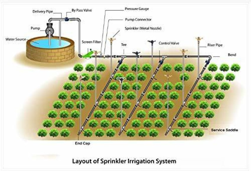 Brass Impact Garden Automatic Rotating Sprinkler with Nozzle Heavy Duty  Irrigation Sprayer Head (20mm or 3/4 Inch ) : : Garden & Outdoors