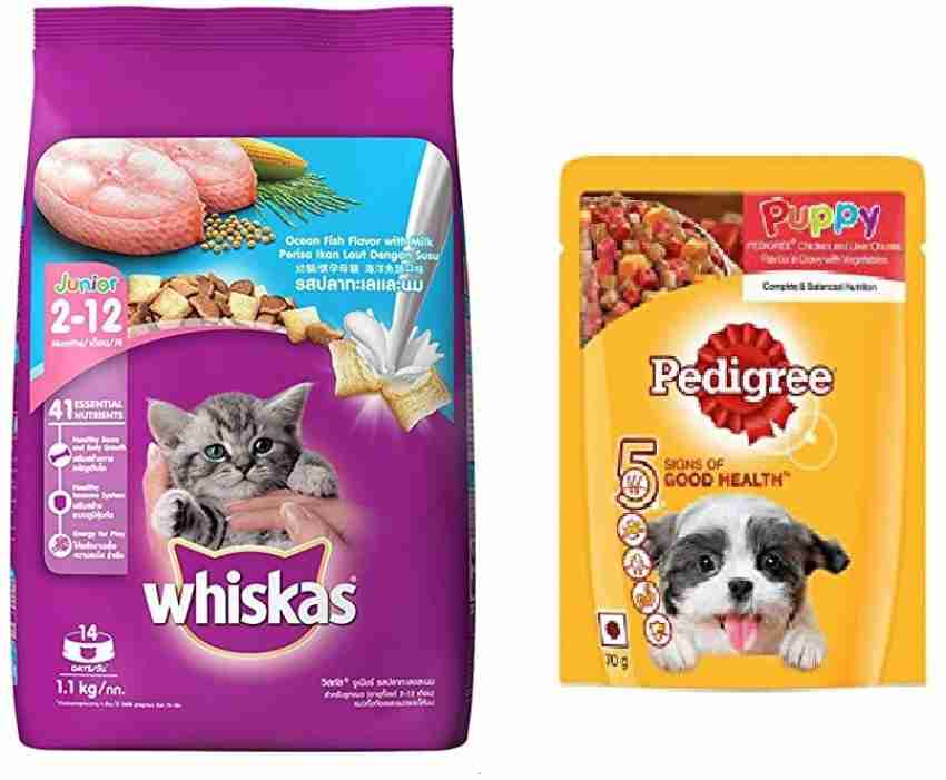 Dog and store cat food