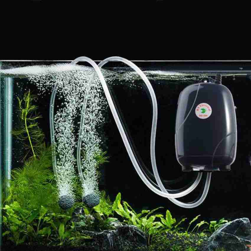 VAYINATO One Way Noiseless Basic Air Motor Fish Tank Starter Kit Aquarium  Tool Price in India - Buy VAYINATO One Way Noiseless Basic Air Motor Fish  Tank Starter Kit Aquarium Tool online