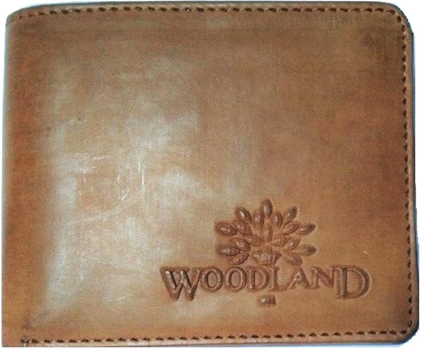 WOODLAND Men Brown Artificial Leather Wallet Brown Price in