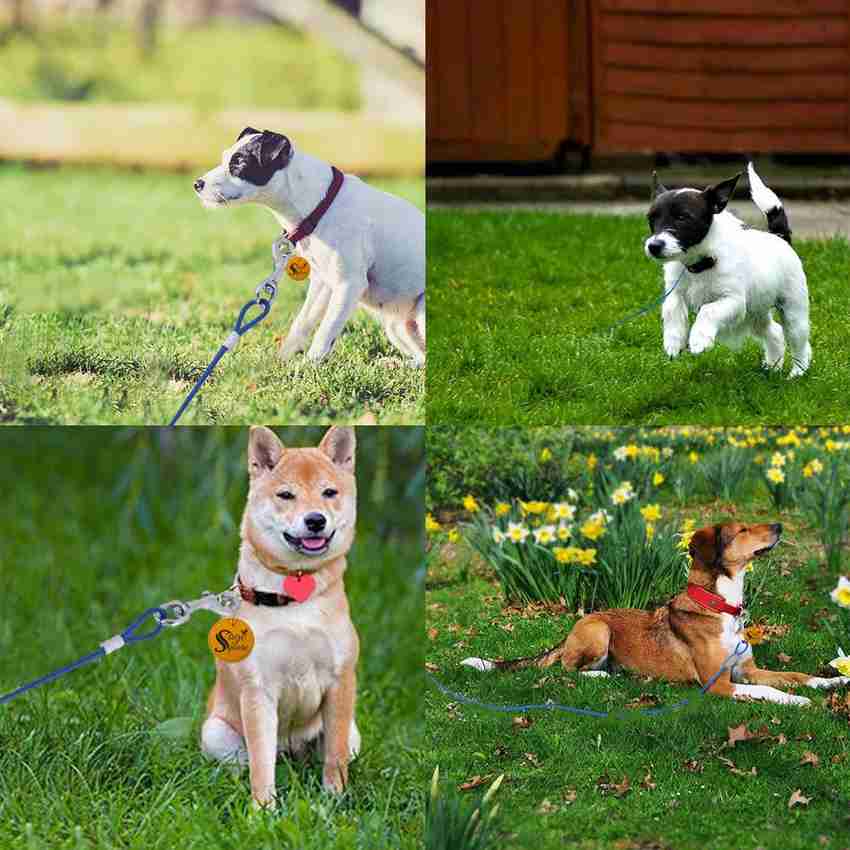 Sage Square Dog Tie Out Cable for Indoor and Outdoor 20 Feet Long