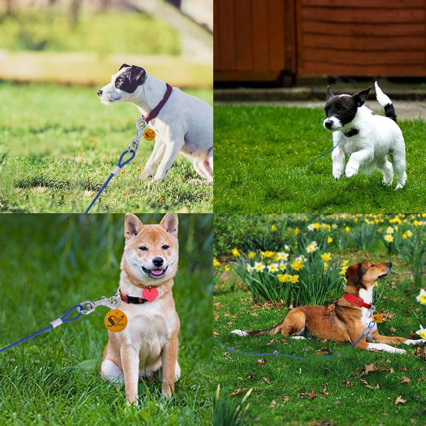 Indoor dog outlet tie down