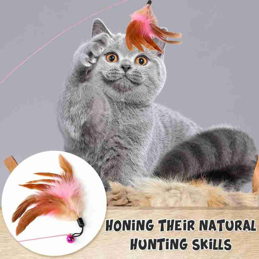 Pet Cat Toy Teaser Bell Feather Stretch Fishing Rod Play Wand
