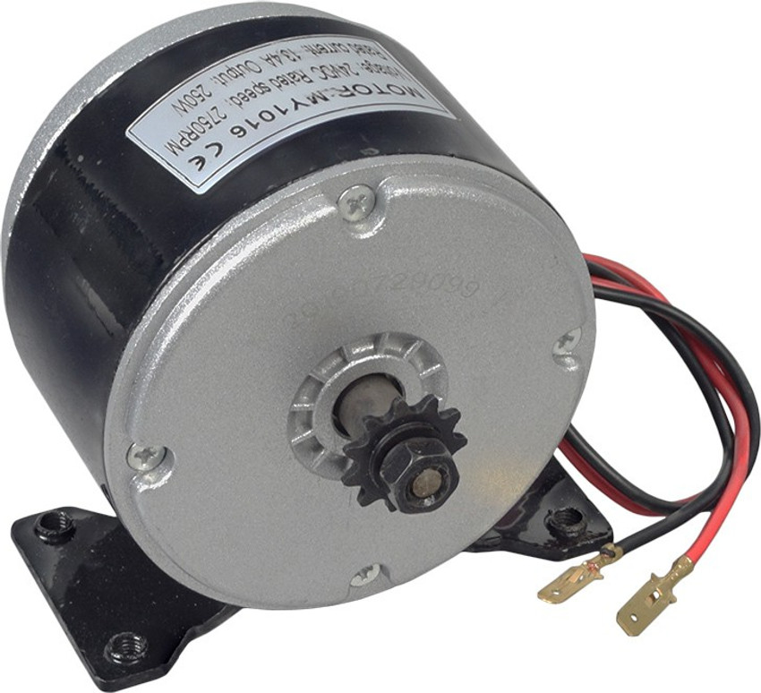 250w motor store