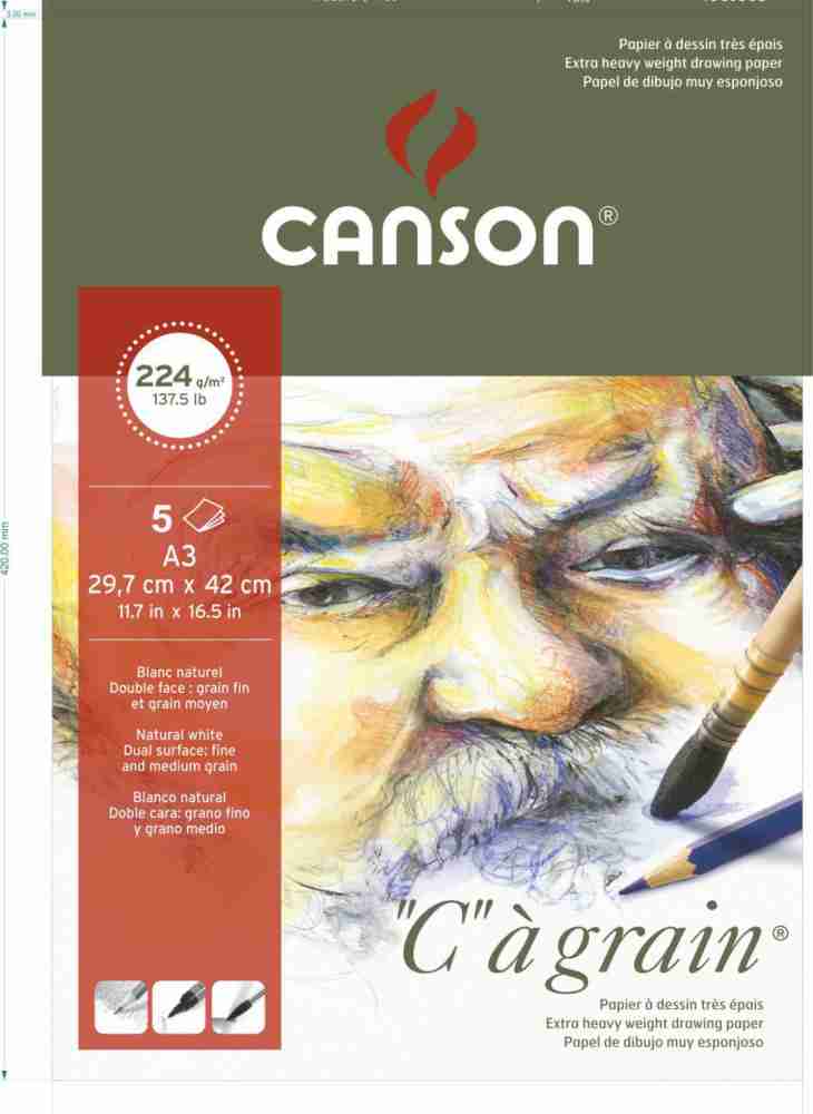 Canson C a grain paper Sketch Pad Price in India - Buy Canson C a grain  paper Sketch Pad online at