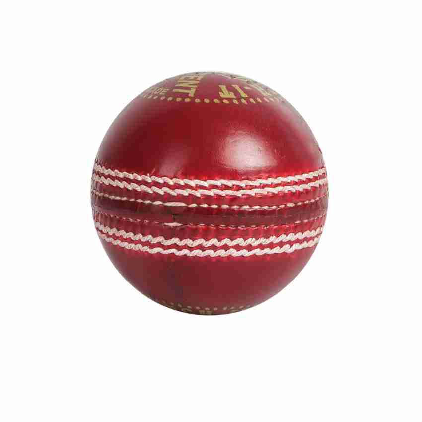 catch a cricket ball