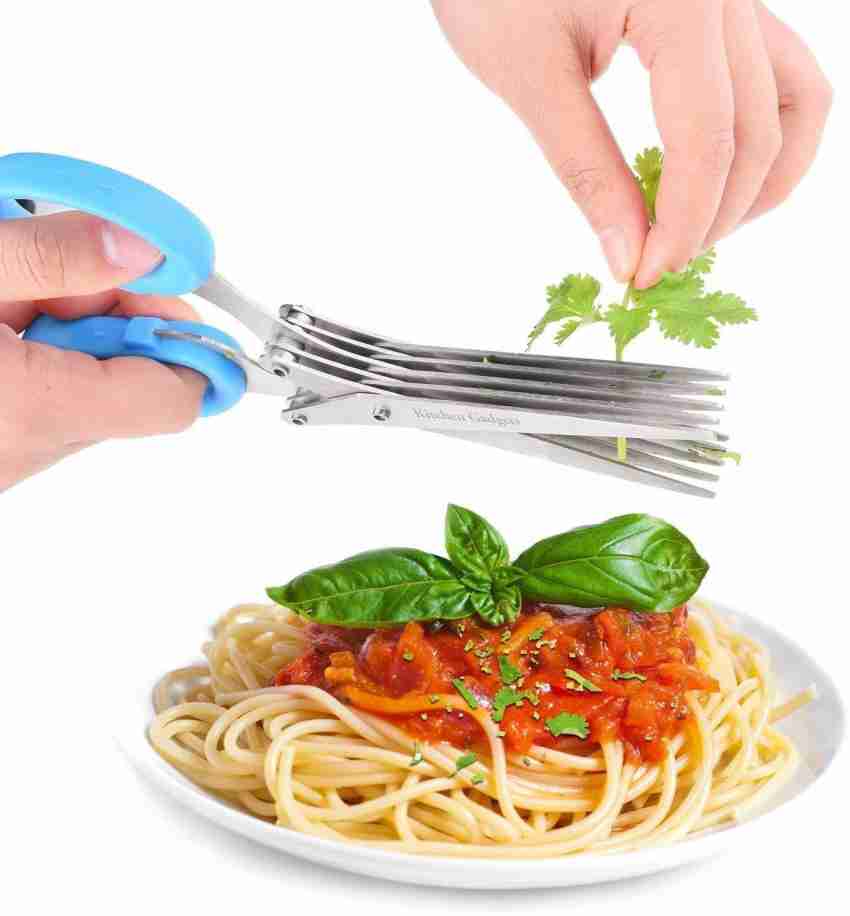 https://rukminim2.flixcart.com/image/850/1000/kd0k7m80/kitchen-scissor/d/7/q/herb-scissors-stainless-steel-multi-use-cutter-shears-with-5-original-imafuyq8pd9srcwv.jpeg?q=20