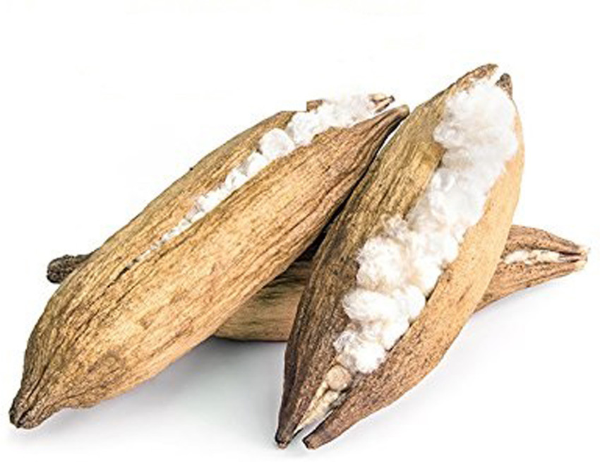 Ilavam panju store pillow online
